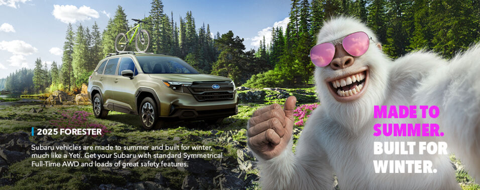 Subaru vehicle are made to summer and built for wnter